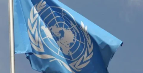 The United Nations and International Inequality