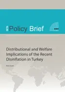 Distributional and Welfare Implications of the Recent Disinflation in Turkey
