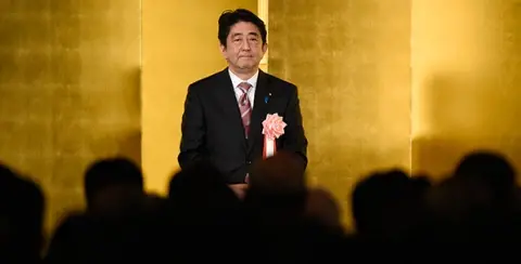 Japan After the Elections