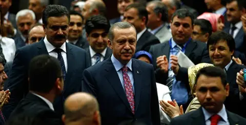 The Protests and Erdoğan