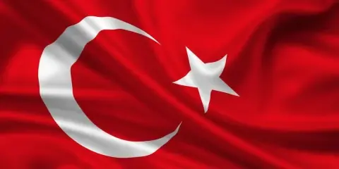 Turkey: No Presidentialism Without Federalism?