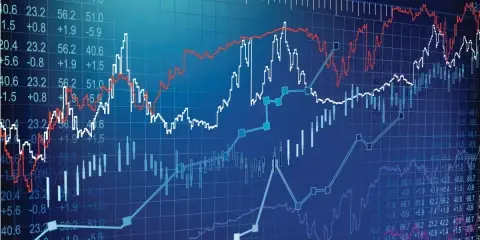 Turkish Economy: Constructed Risk Perceptions vs Real Dynamics