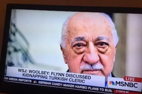 Gülenist cult as a global threat .