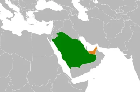 Ambitious policies of Saudi Arabia and the Emiratis