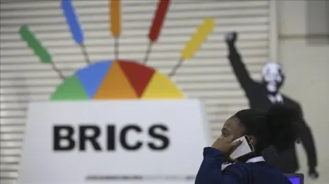 BRICS need objective credit rating agency: Expert