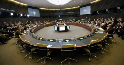 The function of NATO for Turkey