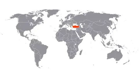 Consolidation of Turkey’s autonomy in 2020