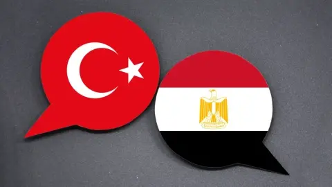 Ankara-Cairo relations in the changing Middle East