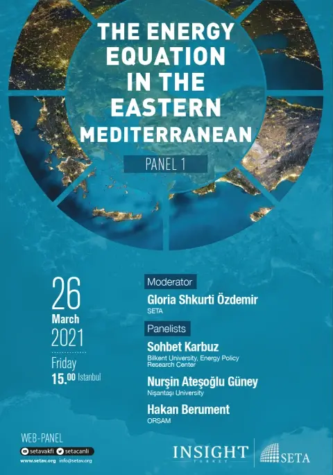 Web Panel: The Energy Equation in the Eastern Mediterranean (Panel 1)