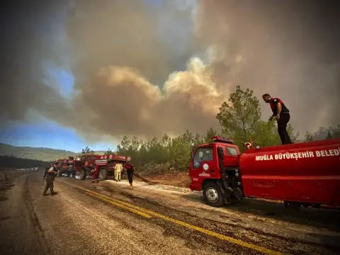 Wildfires in Turkey: Operation against the government