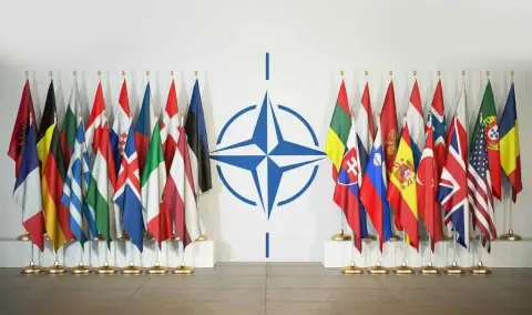 NATO at the Crossroads