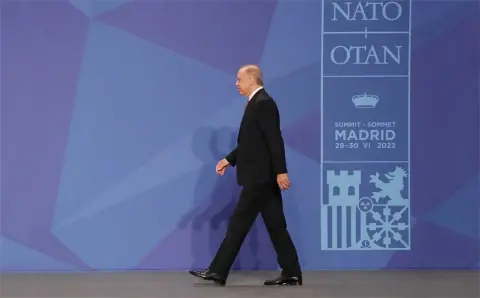 Madrid summit: Acquirement and its aftermath