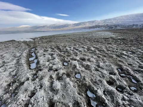 Türkiye’s Climate Policy: Aligned with International Climate Politics