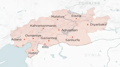The Earthquake and High Politics