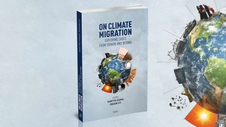 On Climate Migration Exploring Cases from Türkiye and Beyond