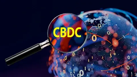 The rise of central bank digital currency