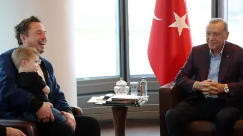 How to Understand Erdoğan-Musk Meeting: Main Agenda and Its Significance