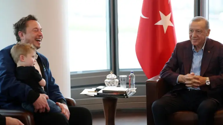 How to Understand Erdoğan-Musk Meeting: Main Agenda and Its Significance