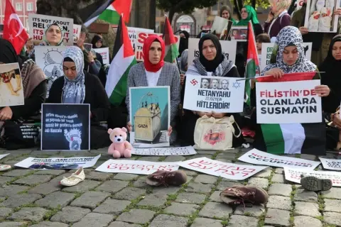 'Great Palestine Rally' and Sweden's NATO accession protocol
