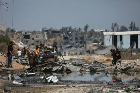 Why Arabs do not support Palestine?