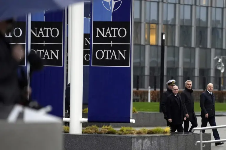 Elections in the allies and NATO