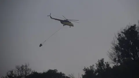 Türkiye’s wildfire response and the rise of digital mobbing