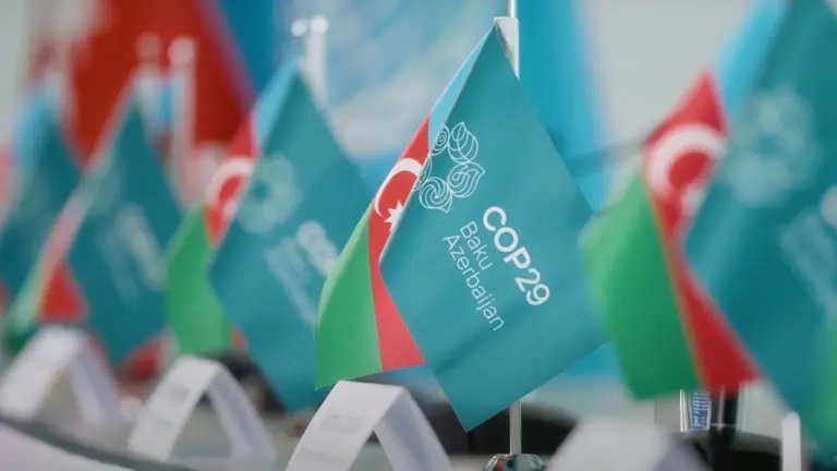COP29: Agenda and Possible Topics for Discussion