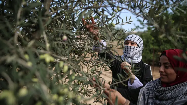 The Other Side of Gaza Genocide | Water Resources, Agricultural Areas, and Animal Farms