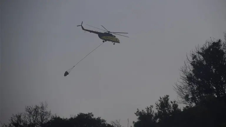 Türkiye’s wildfire response and the rise of digital mobbing