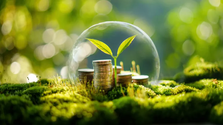 Environment and Economy