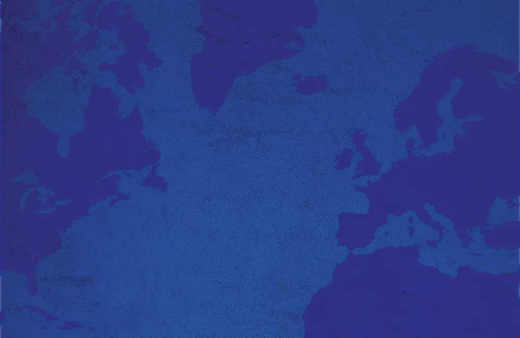 Web Panel | Anchor or Adrift? Transatlantic Relations in a Shifting Global Order