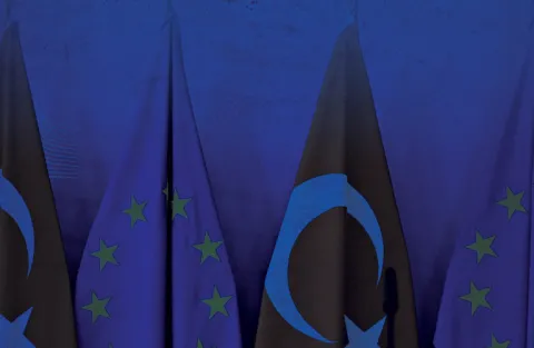 Web Panel | EU-Türkiye Economic Relations at a Crossroads: Interdependence, Asymmetries, and the Case for Strategic Re-engagement