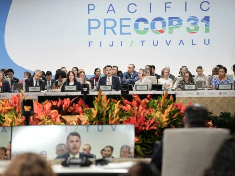 After the Pre-COP: The Cover Decision, the Access Demand and Türkiye’s Two Proposals