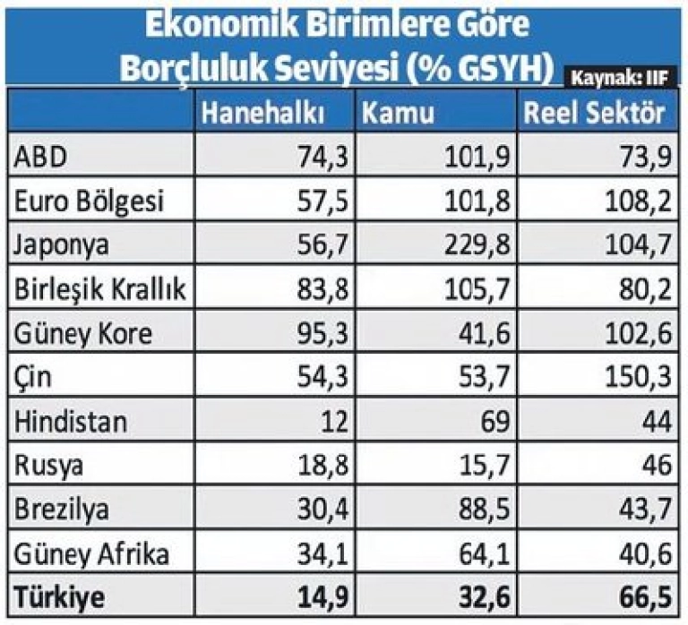 Düşük Borç Kalkanı | Borçluluk Seviyesi