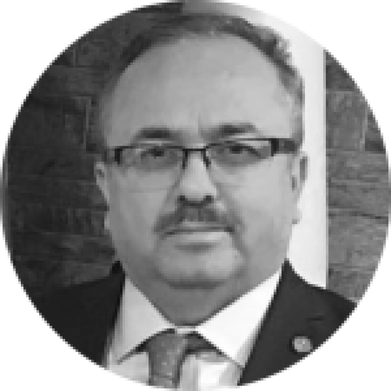 Birol Akgün