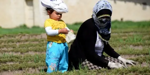 Ulusal İstihdam Stratejisi ve Esnek Çalışma