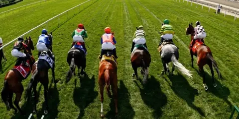 "Kim Daha Yarayışlı" Yarışı
