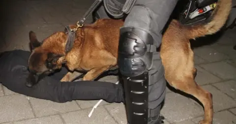 Hollanda’nın Barbarlığı Bize Neyi Öğretti?