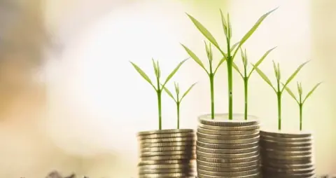 Rapor: Türkiye’de İslami Finansın Dönüşümünün Ekonomi Politiği
