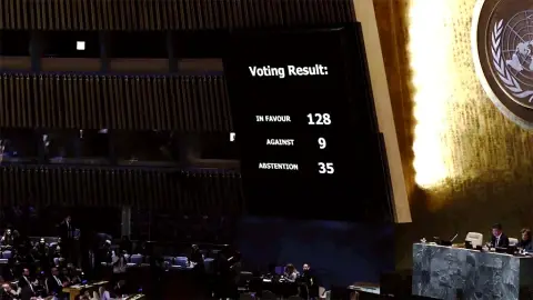 Bir Başarı Örneği: BM Oylaması