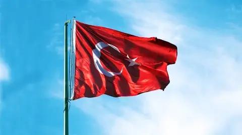 Korumacılık