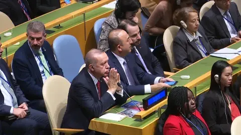 BM’nin Uluslararası Sorunlar Karşısında Çaresizliği