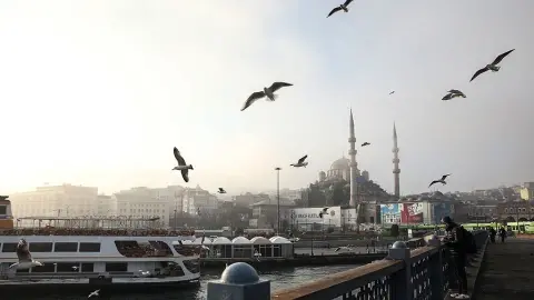 Eleştiri Değil, Alternatif En İyi Politika Sonuç Alır