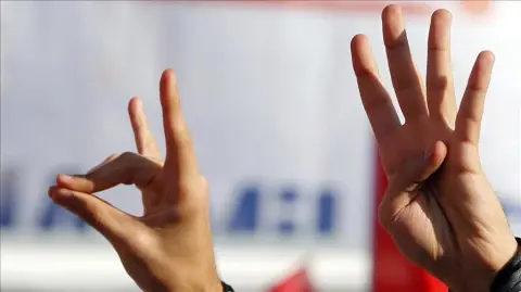 Perspektif: Avusturya Semboller Yasasının Hedefinde Ne Var?