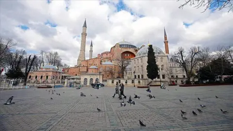 Virüse Karşı Toplumsal Direnç