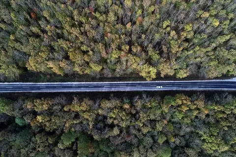 Doğa ile Savaştayız, Kaybetmeliyiz