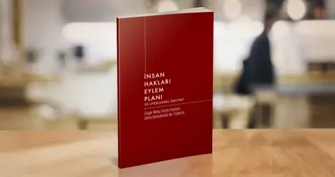 Analiz: Politik Taahhüt Olarak İnsan Hakları Eylem Planı