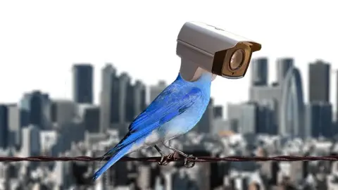 Devlet-Şirket Rekabetinde Yeni Perde: Twitter’da Dönüşüm