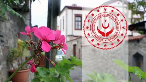 Perspektif: Türkiye’de Roman Vatandaşlara Yönelik Strateji Belgeleri ve Eylem Planlarının İçeriği ve Süreçleri