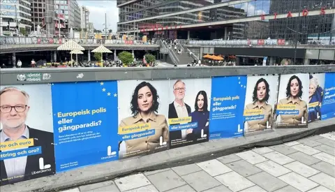 Avrupa Parlamentosu Seçimleri ve Aşırı Sağ Partilerin Yükselişi